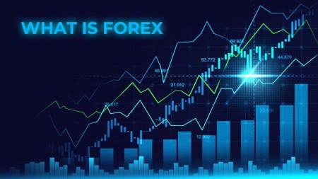 what is forex broker